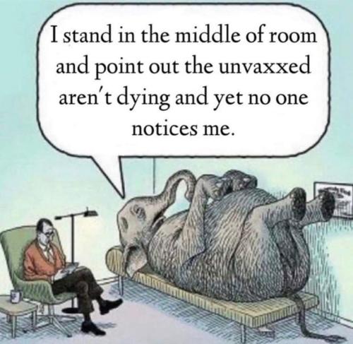 FB_IMG_1670858021499