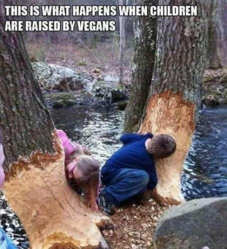 vegan05