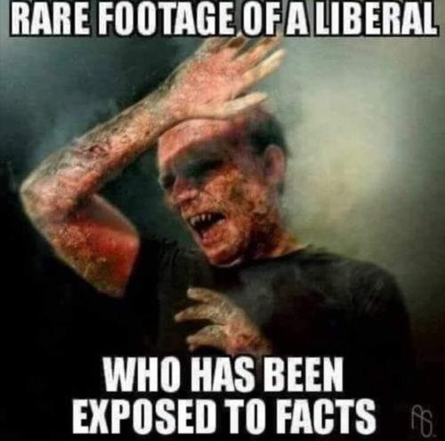 FB_IMG_1670134940337