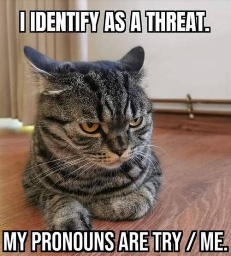 try me