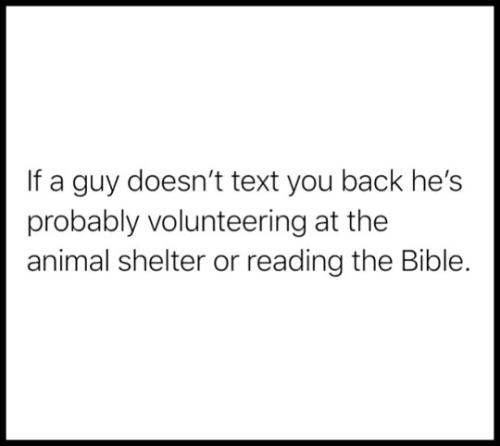 tumblr_a6383cfc27a0259bf4d32ff02ee397de_03deb133_540