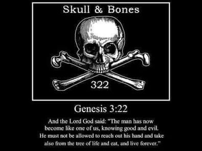 Skull and Bones 1
