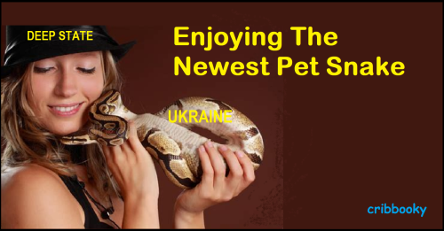 pet_snake_ukraine