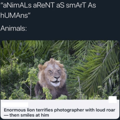 22:59:14 GMT-0500 (Eastern Standard Time).image