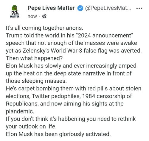 Musk 1