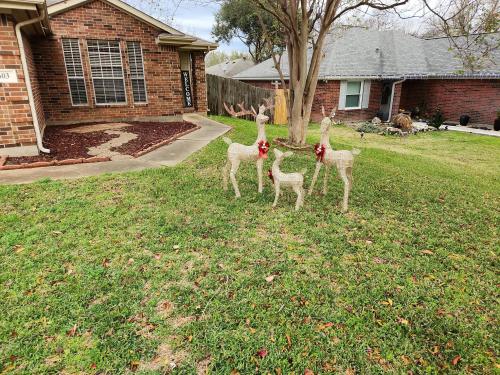 IMG_20221214_083021_01