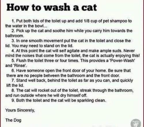 FB_IMG_1671045800512