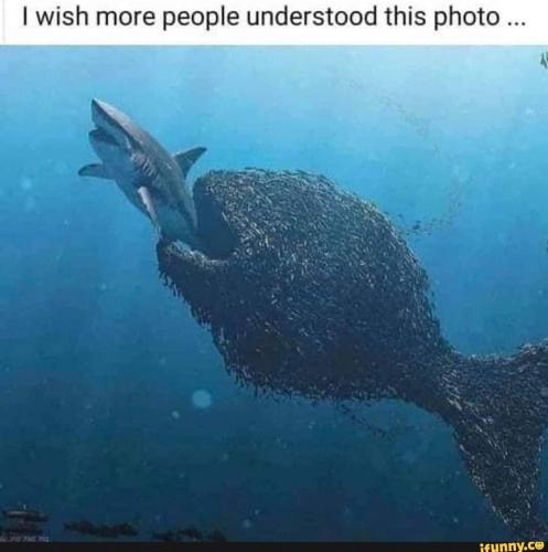 29de74f3-0786-47f7-84e6-a4cf7240a410