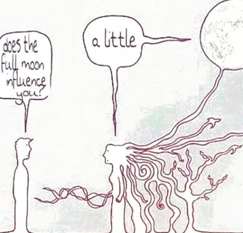 ,                                                                                                                                                                                                                          0 1