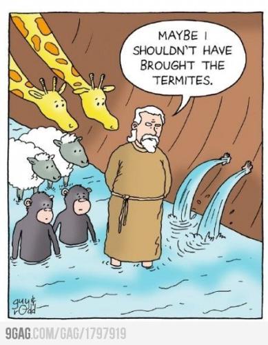 261960649_3229662753930655_139994446088632471_n