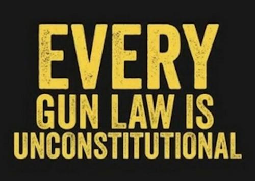 every gun law is unconstitutional