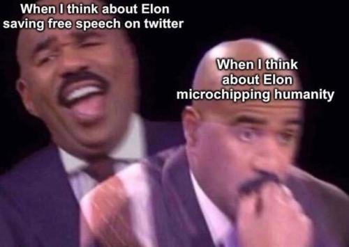 elon