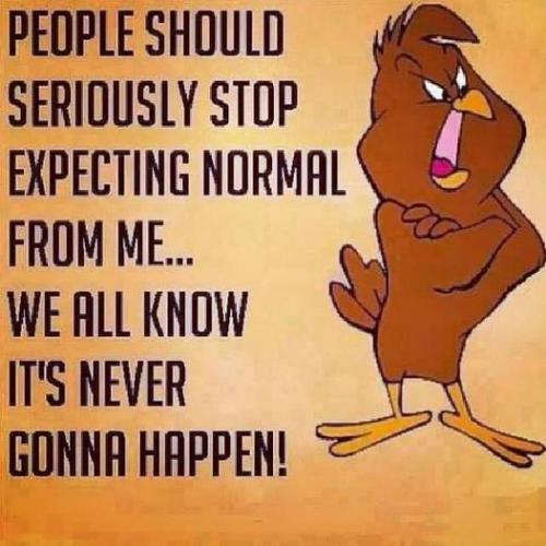 318246213_6277671715596420_6418803650266634335_n