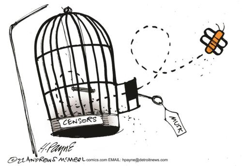 payn_c19452120221122041650-800x0