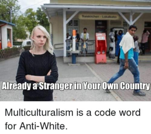 multiculture me