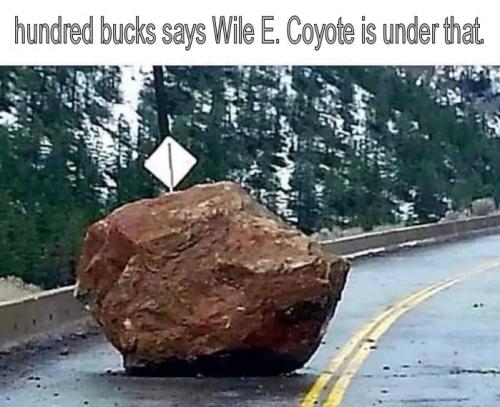 hundred bucks says Wile E Coyote is under that