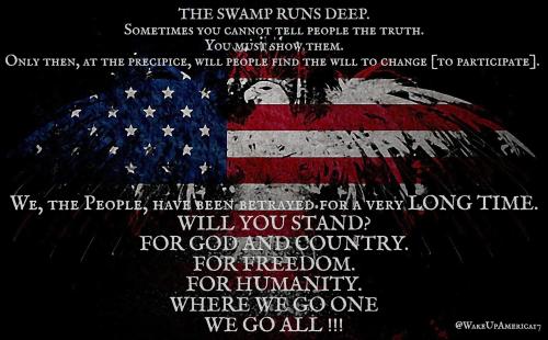 Swamp 1