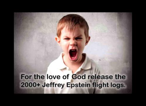 epstein flight logs