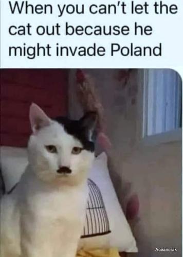 f54379ba-04cb-4ed5-9192-e10a4c1b4a64