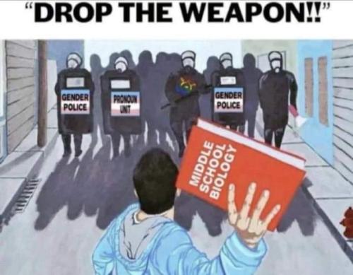 FB_IMG_1673485752237