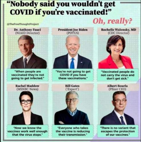 FB_IMG_1673835265271