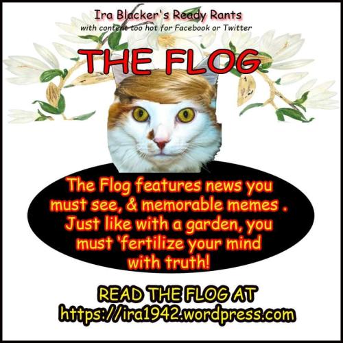 FB_IMG_1674870581294