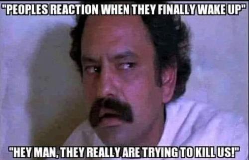 reaction peoples cheech