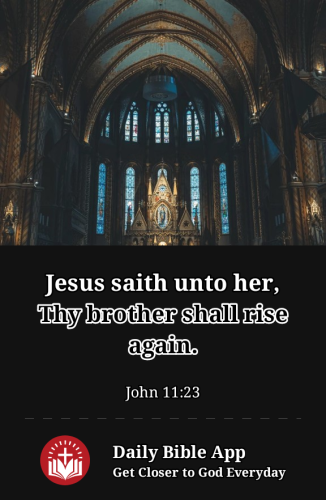 2023-01-171674000224764