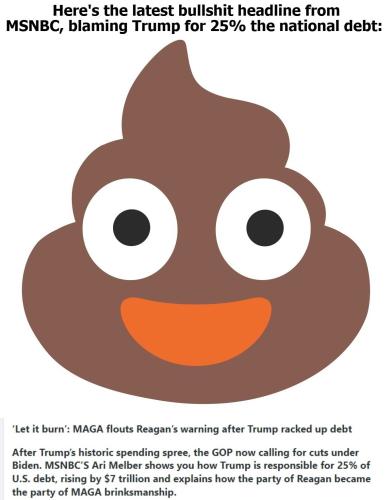 MSNBC bullshit headline