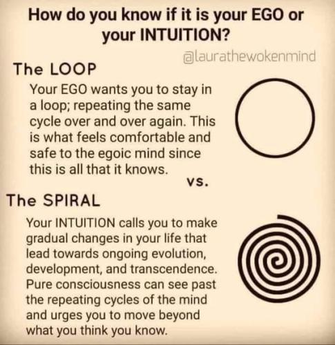 photo_2023-01-21_13-15-24