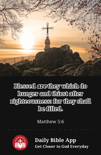 2023-01-161673920239349