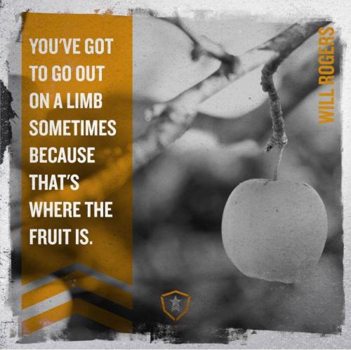 go out on a limb - fruit is there