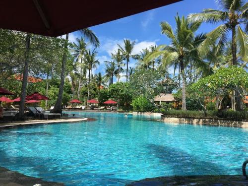 64410248_10217452715884105_8895015421934043136_n