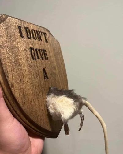 23acebf3-eb34-4b8c-b82b-fb126a7c9806