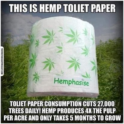 322587335_725356972243025_6639358492627081609_n