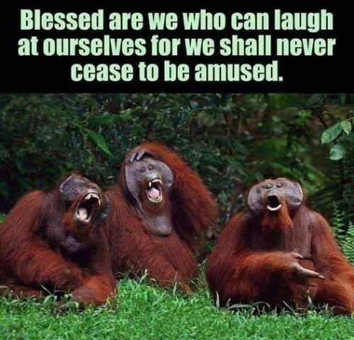 324078643_2121871401338903_5234508584528855217_n