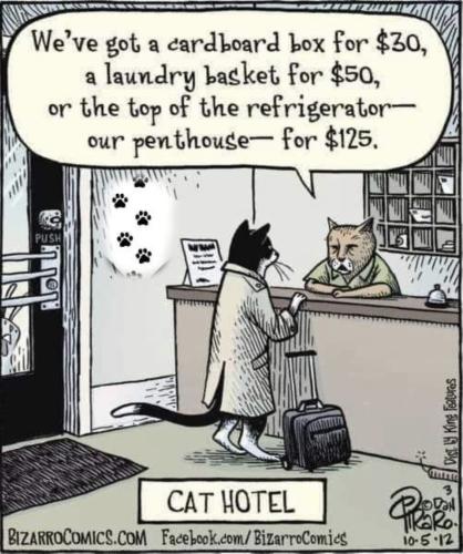 84AACA6E-8E07-4C5C-9088-B1AD2D18597F