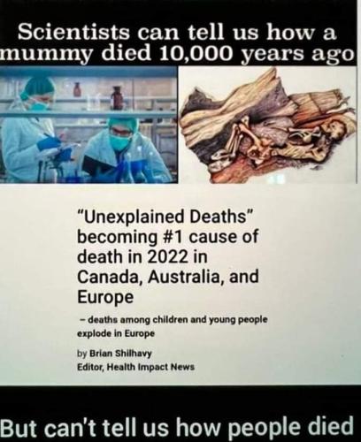 FB_IMG_1674528901796