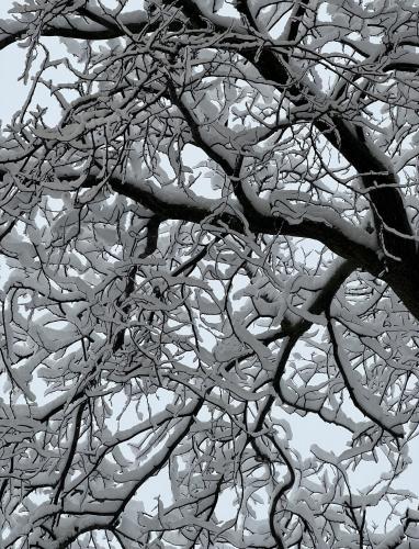 09:12:07 GMT-0600 (Central Standard Time).image