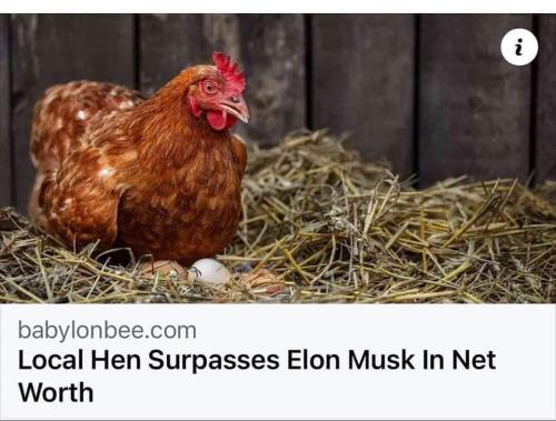 FB_IMG_1675018420915