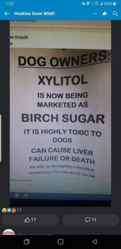 323453177_2689516861184075_6965814480299137723_n