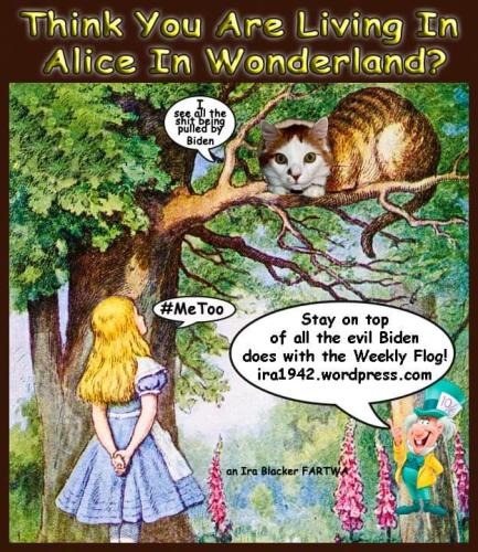 FB_IMG_1674688930525