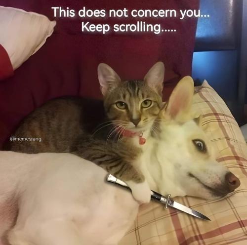 FB_IMG_1675151360230