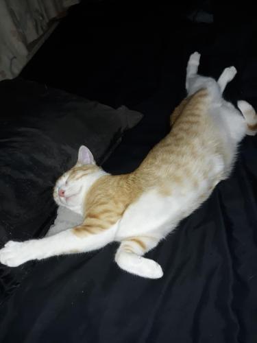 399c15cc-ce12-44b2-af1b-303f13415354