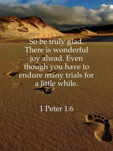 11:35:34 GMT-0500 (EST)