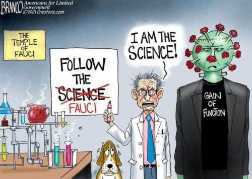 Fauci Lied and People Died