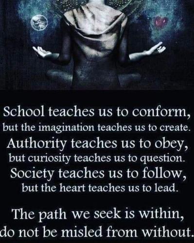 IMG_7010