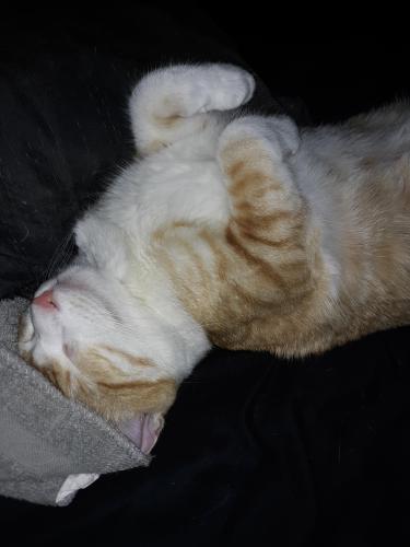 ffe643c4-b612-4991-b385-0c0cce20c8e8