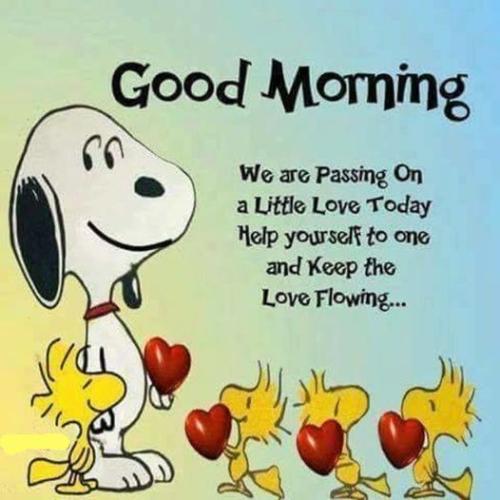 324402236_686147163214311_9083391316946488534_n