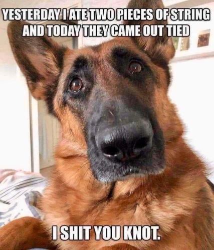 FB_IMG_1672817512877